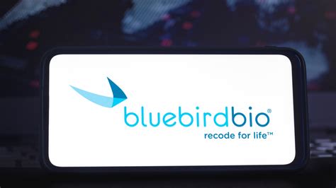 Bluebirdbio stock. bluebird bio Inc bluebird bio Inc BLUE Morningstar Rating Unlock Stock XNAS Rating as of Nov 29, 2023 Summary Chart News Price vs Fair Value … 