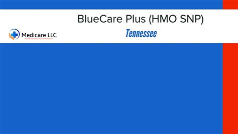 Bluecare plus tennessee. Things To Know About Bluecare plus tennessee. 