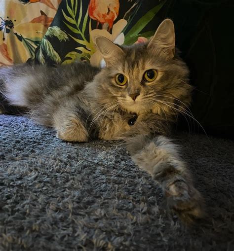 💋 Blueeyedbitch93 Leaked XXX