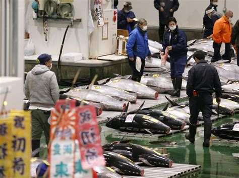 Bluefin Tuna Market Price 2021