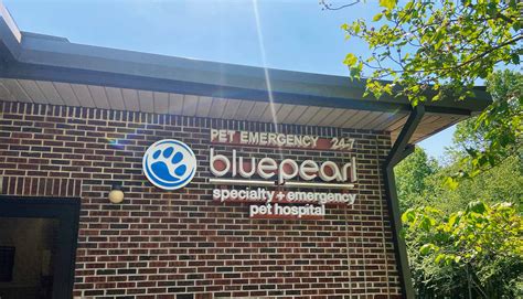 Specialties: BluePearl Pet Hospital in Berks, Shillingto