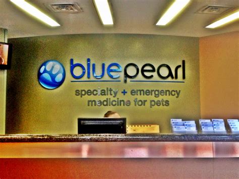 274 reviews of BluePearl - Queens "I was referred to NYC Vet Specialist by my vet for my dog to have surgery done. I must say all the faculty staff I'd encountered was very …. 