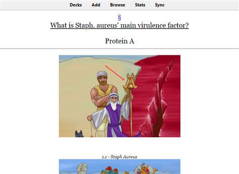 Blueprint anki deck.  Perfect for those just Follow the steps below to gen...