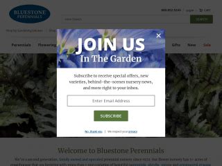 Bluestone perennials coupon code 2023. Bluestone Perennials Discount Code May 2024 - 30% OFF. Treat yourself to huge savings with Bluestone Perennials Promo Codes: 29 promo codes, and 1 deal for May 2024. Follow. 