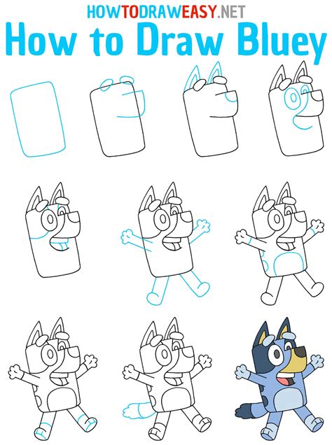 Bluey Step By Step Drawing