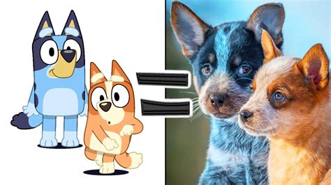 Bluey characters in real life. 