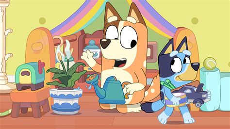 The second episode to not show her would be "Slide". Bluey is present on a family photo in the living room, however, as is Chilli. This is the second episode that Bluey has not spoken in however, the first being Army in which she appears as a background character briefly. This is the first episode to contain a variation of a sign language, in ...