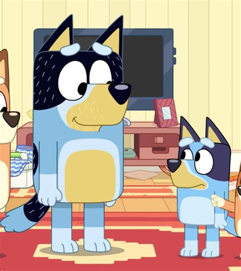 Bluey season 4. Current Show Status. Bluey Season 4 officially renewed for 2024. Latest Episode Aired Sun 6/11/2023 Cricket Season 3: Episode 47. Next Episode Airs Sun 4/7/2024 Ghostbasket Season 3: Episode 48. Brisbane-based Ludo Studios has been forced to issue a statement following a media report hit series Bluey would conclude … 