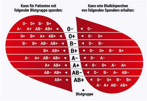 Blutgruppen-Vererbung: DRK Blutspende-Magazin