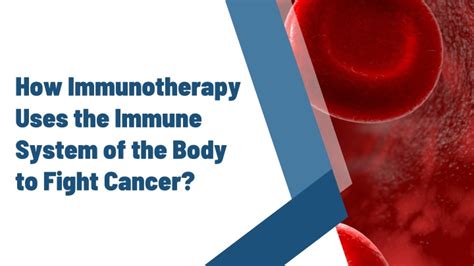 Bmon linux.  Aug 12, 2024 · Immunotherapy uses your body&rsquo;s immune system to attack cancerous ...