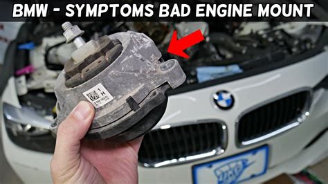 Bmw g20 engine mount symptoms.  #bmw #330i #g20 #2019 #2020 #2021 #2022 #2023 #b48 #b46 #3series H...