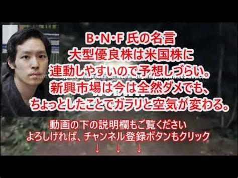 Bnf氏の名言 大型優良株は米国株に連動しやすいので予想しづらい 新興市場は今は全然ダメでも ちょっとしたことでガラリと空気が変わる Youtube