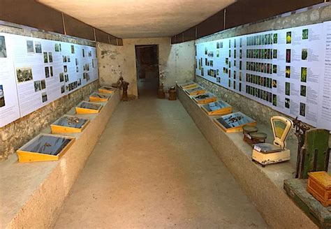 Boğatepe köyü peynir müzesi iletişim