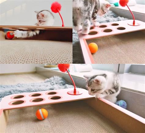 Board cats. Beli Cats House,Cat Scratch Board, Cats Perch, Cat Tree di Pets USA Official Store. Promo khusus pengguna baru di aplikasi Tokopedia! 