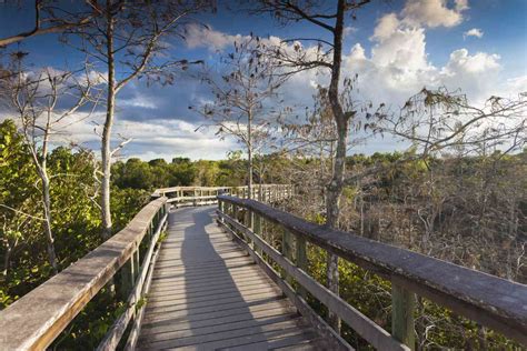 Boardwalks in florida. Things To Know About Boardwalks in florida. 