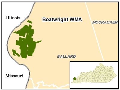 WMA Overview Size: 8847 acres Location: Ballard Contact: (270) 224-2244 Elevation: minimum 295 feet, maximum 361 feet. Entrance GPS coordinates: Latitude N 37.0095, Longitude W -89.1218 Area Habitat: open land 35.77%, forest 1.87%, wetland 53.88%, open water 8.50%.. 