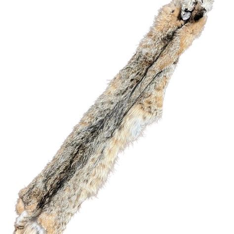 Bobcat Fur Rugs - Etsy