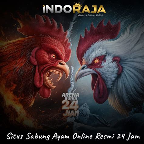 Bocoran sabung ayam online hari ini. Bertemu sama orang yang sudah.