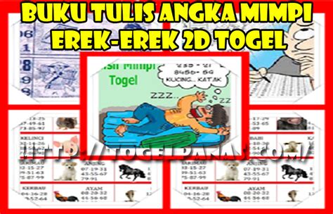 Bocoran sgp 11 juni 2022. Buku mimpi membunuh orang.