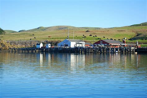 Bodega bay kayaking. .  ...