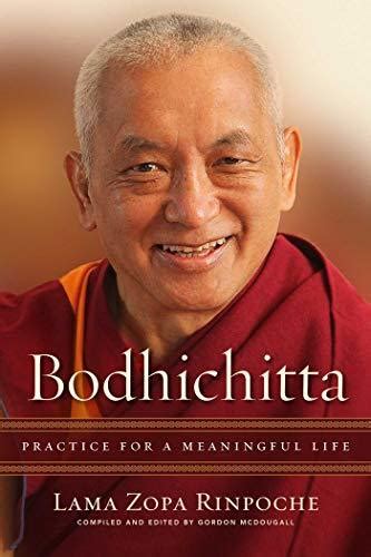 Read Bodhichitta Practice For A Meaningful Life By Thubten Zopa