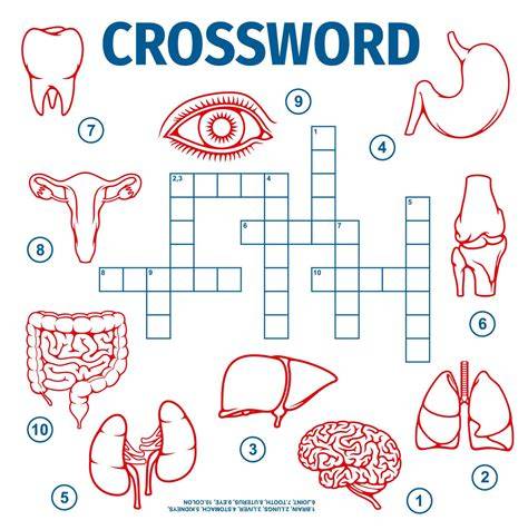Bodily Organs Crossword Clue