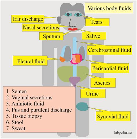 Bodily Secretions - an overview ScienceDirect Topics