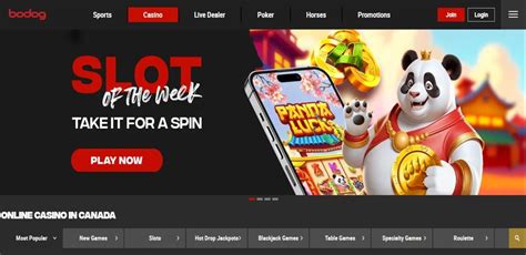 online gambling slots Bodog Canada
