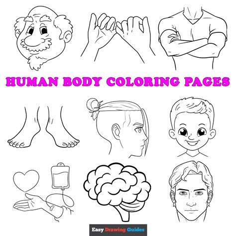 Body Coloring Shee