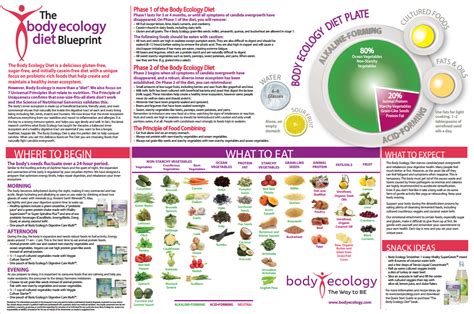 Body Ecology