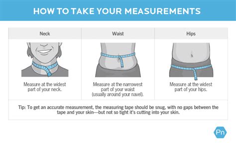 Body Fat Calculator