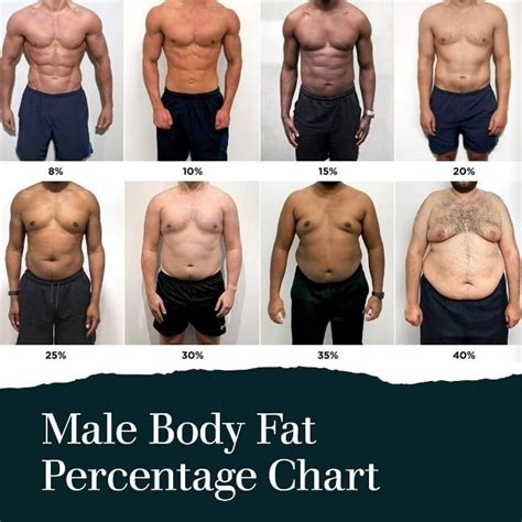 Body Fat Male Chart