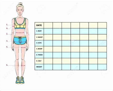 Body Measurement Tracker Spreadsheet Unique Body Measurement Chart Template Excel in 2020 Body