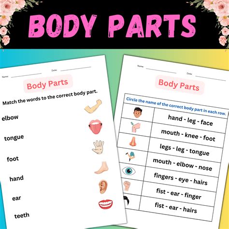 Body Parts - crashnbashhobbies.com