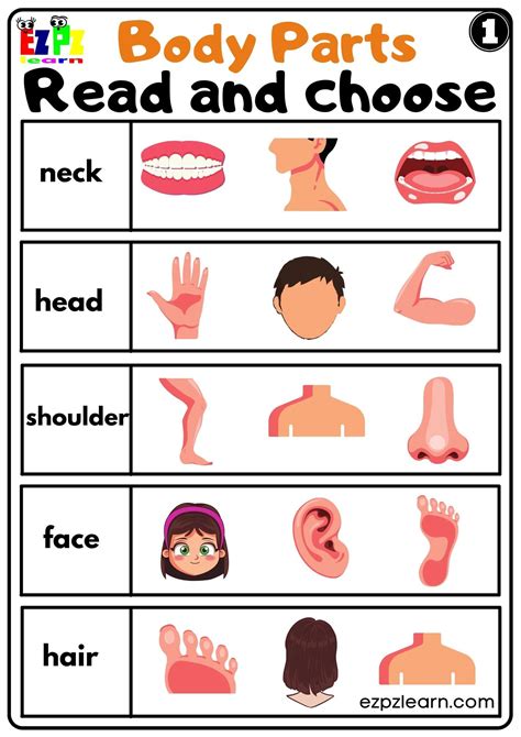 Body Parts Activity For Kindergarten