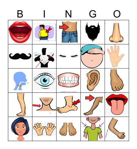 Body Parts Bingo Cards on Bingo Baker