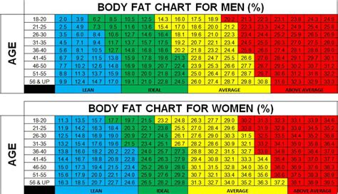 Body Percentage Fat Chart