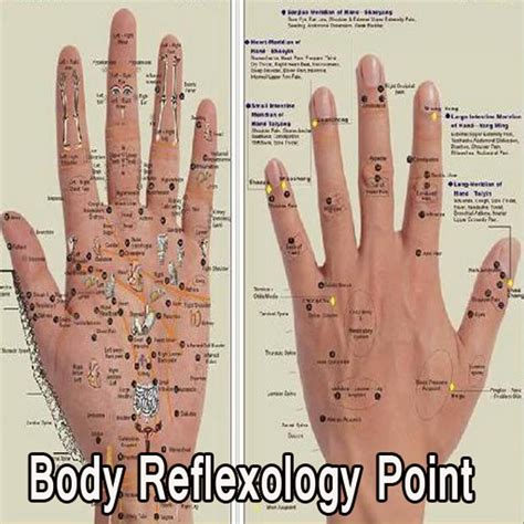 Body Reflexology Point APK Download for Android 