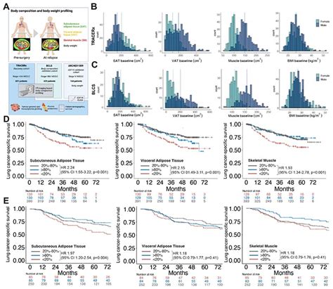 Body composition and lung cancer-associated cachexia in TRACERx