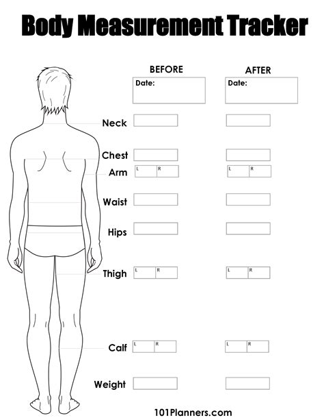 Body measurements chart