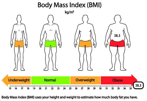 Less than 18.5 = Underweight. Between 18.5 - 24.9 = Healthy Weight. Between 25 - 29.9 = Overweight. Over 30 = Obese. This calculator should only be used by adults (pregnant or lactating women should not rely on these BMI readings), and no action should be taken based on its values other than to consult a suitably qualified person such as a doctor. . 