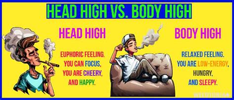 Body vs head high : trees - Reddit