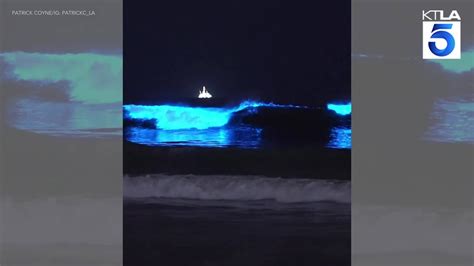 Bodyboarders ride bioluminescent waves in Southern California