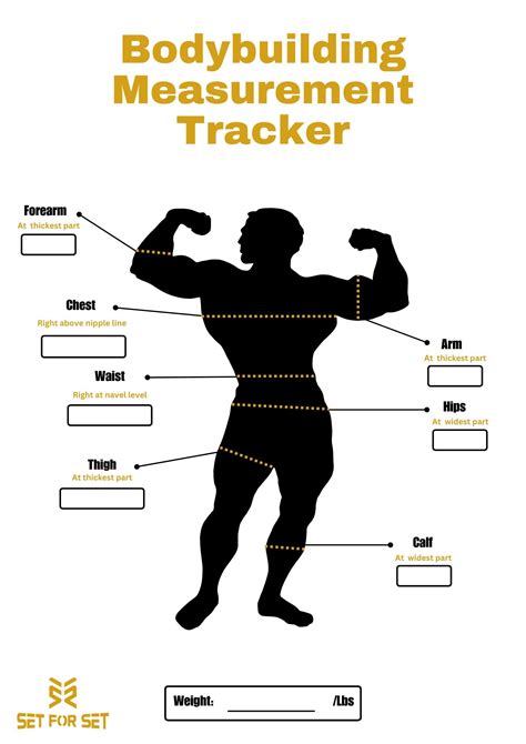 Bodybuilding Measurements Chart