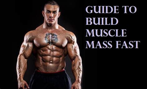 Bodybuilding the skinny mans guide to building muscle building strength and building mass fast. - Vorhalle zur griechischen geschichte und mythologie.