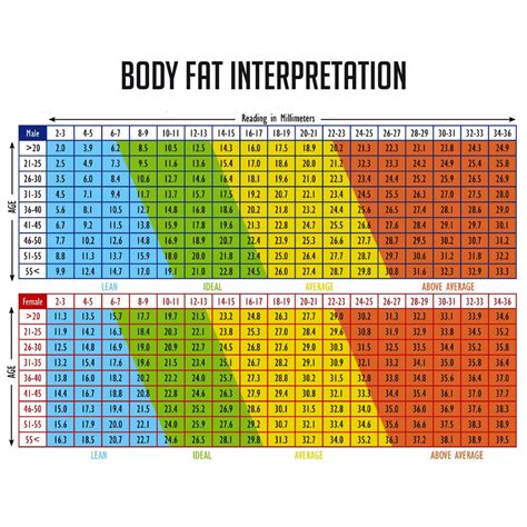 Bodyfat Percent Chart