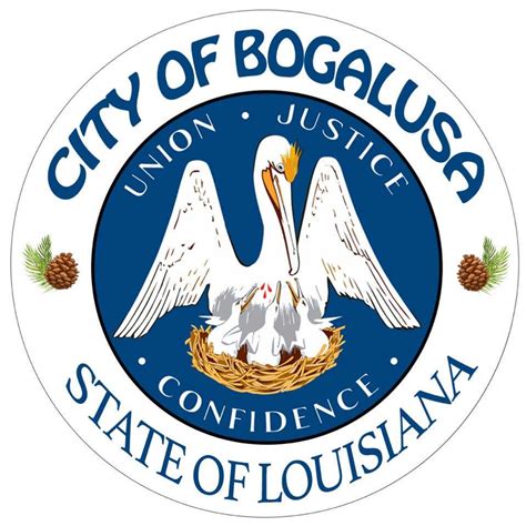 Bogalusa Definition & Meaning Dictionary.com