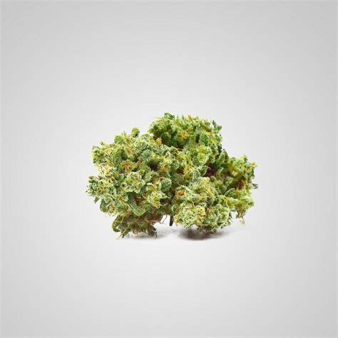 Mar 10, 2021 · Strain type: Hybrid. CBD: —. THC: 18 percent. Why it works: Sherbert is known to relieve tension and anxiety. Although it’s calming, it usually produces a clear-headed high. Sherbert is also ... . 
