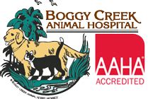 See more of Boggy Creek Animal Hospital on Facebook. Log In. or .