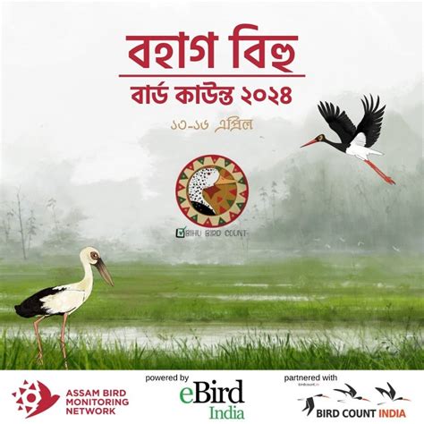 Bohag Bihu Bird Count 2024 begins on April 14 - The Hindu